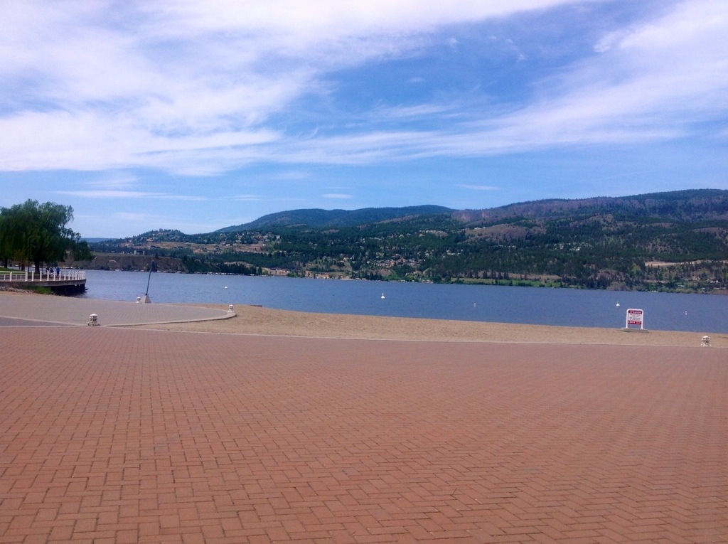 When a Dream becomes a&nbsp;Nightmare