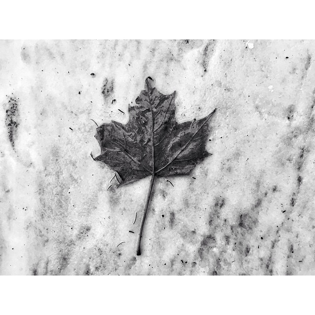 Canada Strong and&nbsp;Free