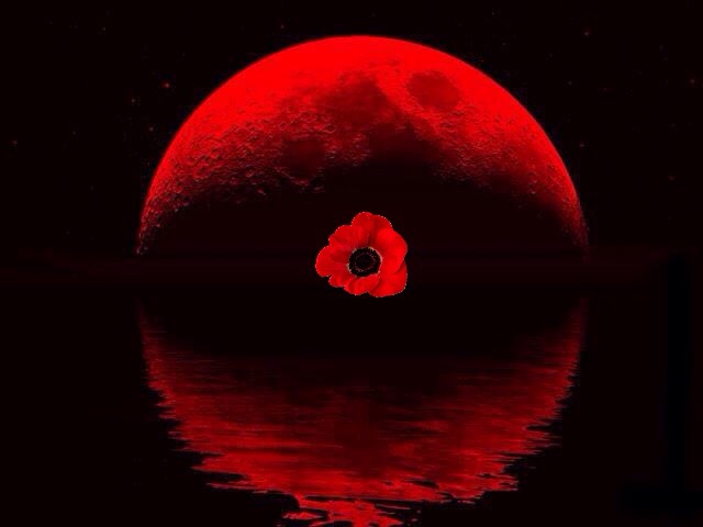 Our Freedom at a&nbsp;Price