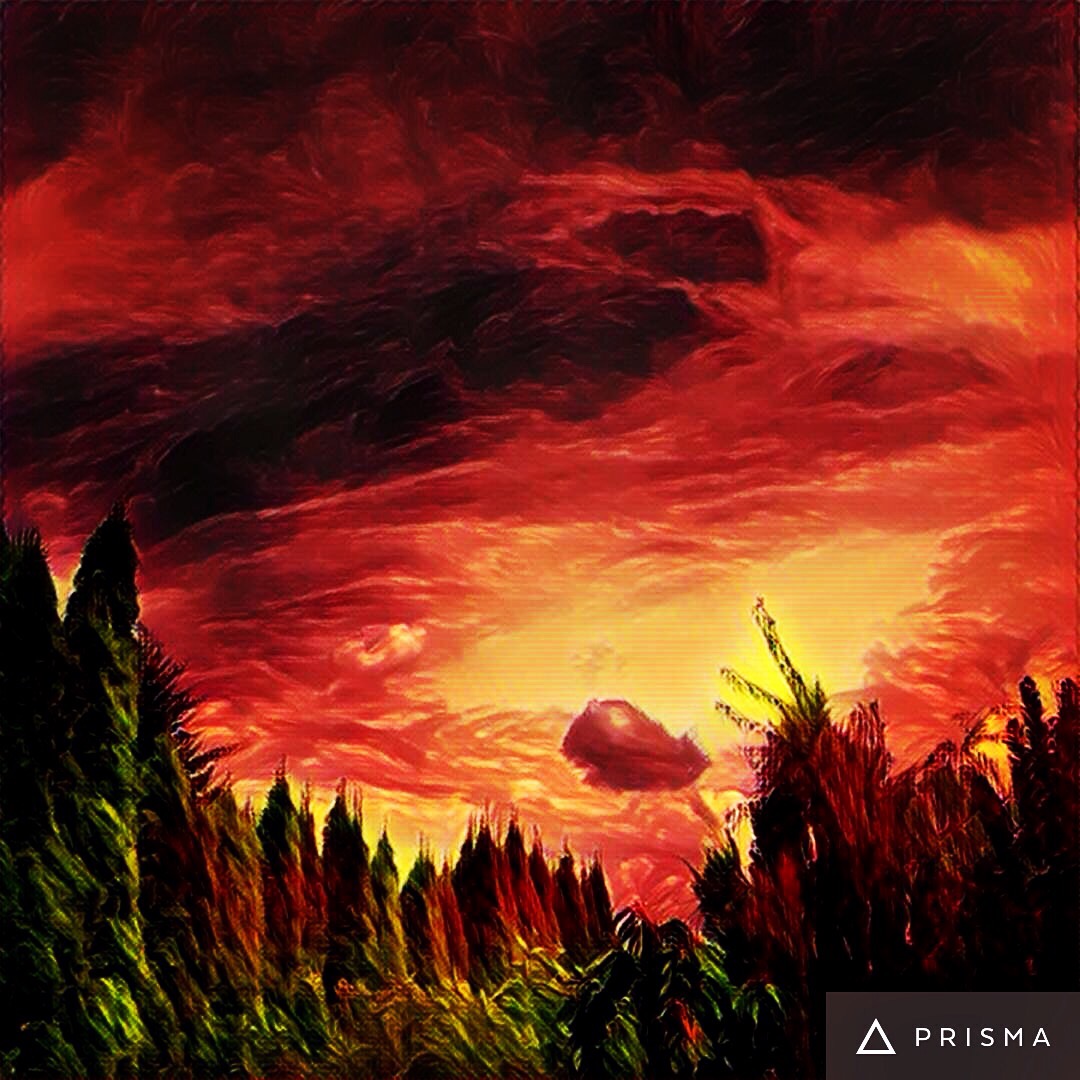 Our Dreams by Bari Demers